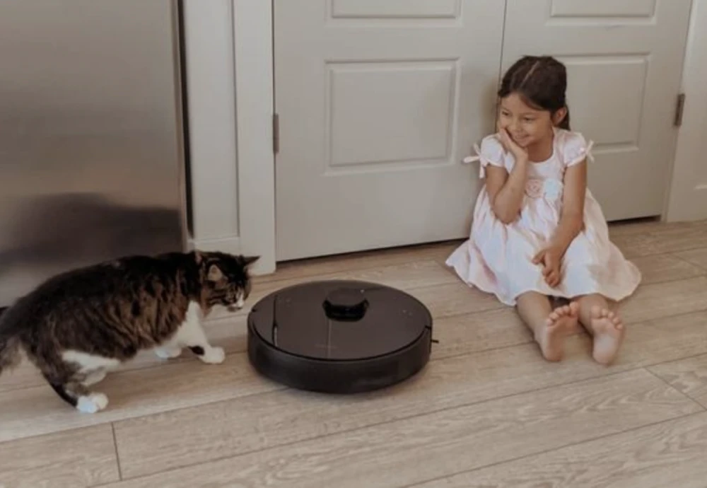 robotic vacuum cleaner with map navigation function