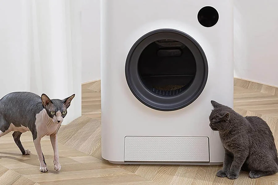 litter box for two cats